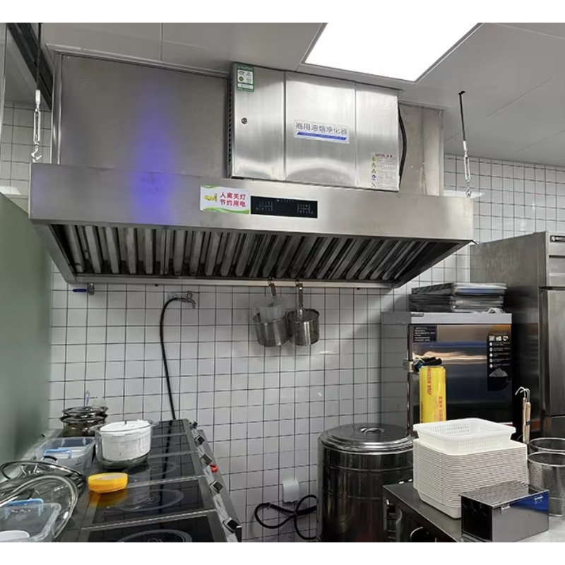 Customized Built in Electrosta - Commercial Exhaust Hood ulasan dan harga